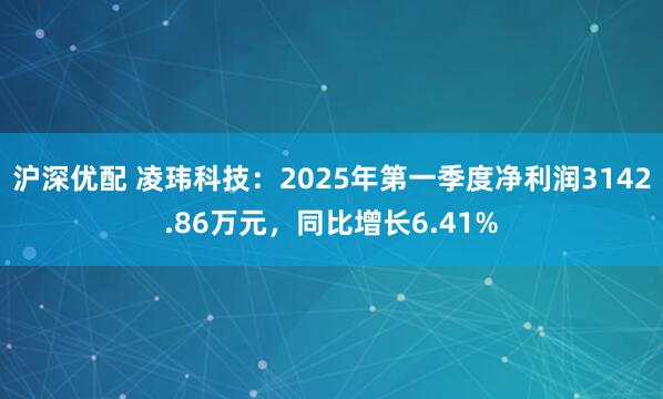 沪深优配 凌玮科技：2025年第一季度净利润3142.86万元，同比增长6.41%