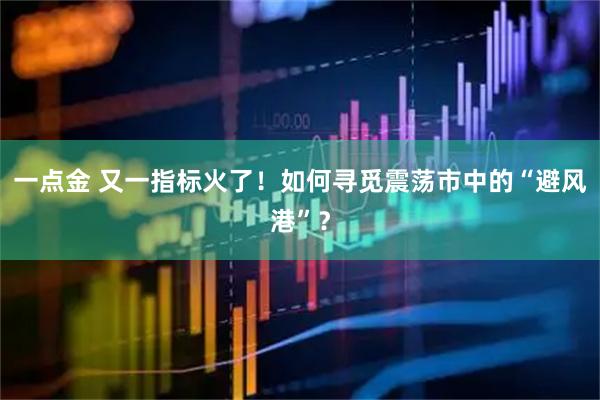 一点金 又一指标火了！如何寻觅震荡市中的“避风港”？