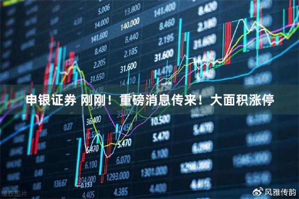 申银证券 刚刚！重磅消息传来！大面积涨停