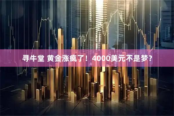 寻牛堂 黄金涨疯了！4000美元不是梦？
