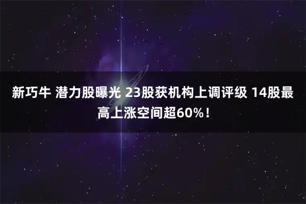 新巧牛 潜力股曝光 23股获机构上调评级 14股最高上涨空间超60%！
