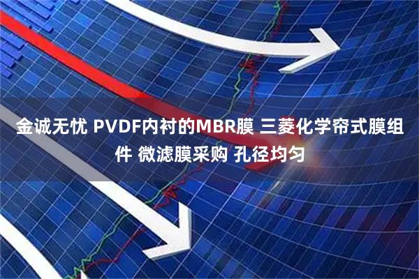 金诚无忧 PVDF内衬的MBR膜 三菱化学帘式膜组件 微滤膜采购 孔径均匀