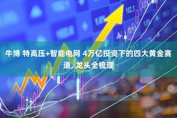 牛博 特高压+智能电网 4万亿投资下的四大黄金赛道, 龙头全梳理