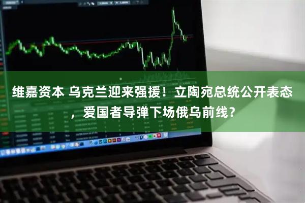 维嘉资本 乌克兰迎来强援！立陶宛总统公开表态，爱国者导弹下场俄乌前线？