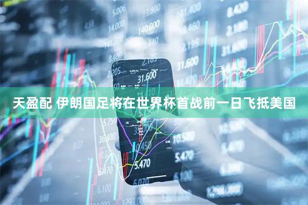 天盈配 伊朗国足将在世界杯首战前一日飞抵美国
